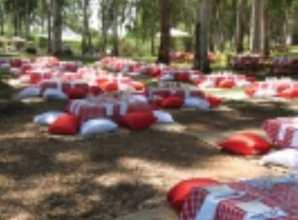 פופים גדולים