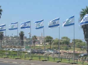 דגלול המוצמד לגדר הפרדה