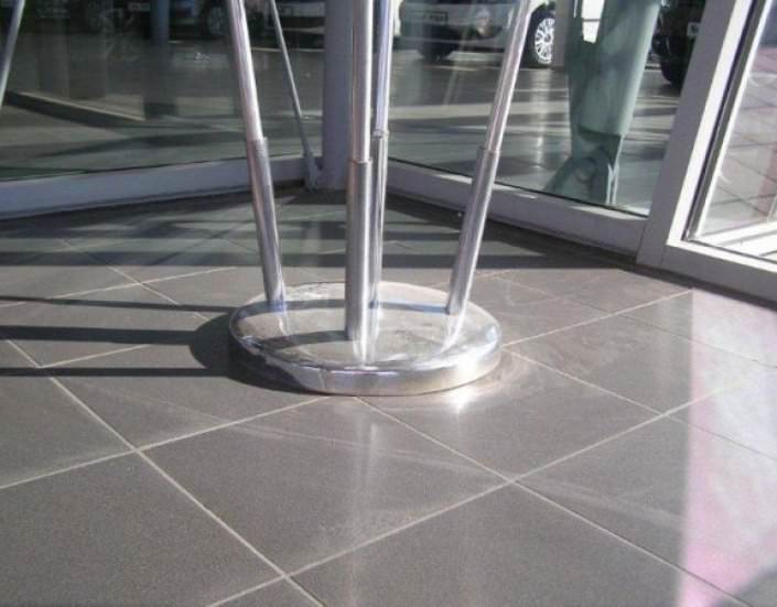 שושנת דגלים