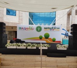 במה + גב במה קוליסה