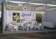 הקמת ביתן לכרמל